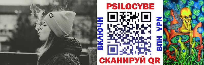 Купить закладки  Новомосковск  Псилоцибиновые грибы GOLDEN TEACHER 