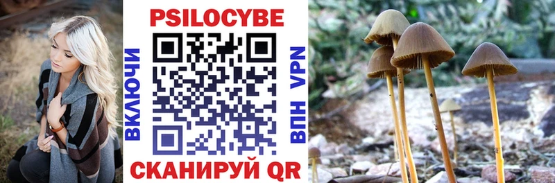 Галлюциногенные грибы GOLDEN TEACHER Новомосковск